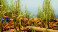 Ordovician sea life. Image credit: Vince Smith / American Museum of Natural History / CC BY 2.0.