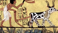 Ploughing with a yoke of horned cattle in Ancient Egypt.