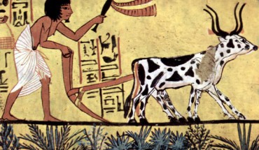 Ploughing with a yoke of horned cattle in Ancient Egypt.