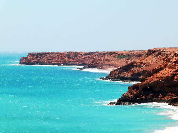 Barrow Island. Image credit: University of Western Australia.