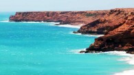 Barrow Island. Image credit: University of Western Australia.
