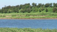 A 21st-century view looking east across the River Trent to the prominent bluff and the Viking winter camp. Image credit: Dawn Hadley & Julian Richards / Antiquaries Journal, doi: 10.1017/S0003581516000718.