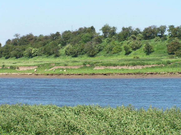 A 21st-century view looking east across the River Trent to the prominent bluff and the Viking winter camp. Image credit: Dawn Hadley & Julian Richards / Antiquaries Journal, doi: 10.1017/S0003581516000718.