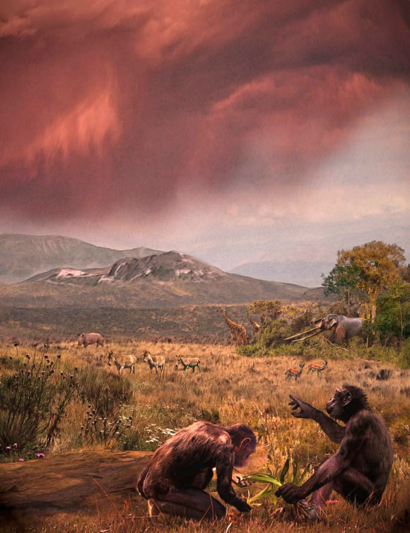 Graecopithecus freybergi lived 7.2 million years ago in the dust-laden savannah of the Athens Basin. Image credit: Velizar Simeonovski.