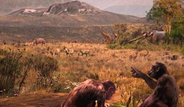 Graecopithecus freybergi lived 7.2 million years ago in the dust-laden savannah of the Athens Basin. This view from Graecopithecus freybergi’s place of discovery, Pyrgos Vassilissis, to the southeast over the plain of Athens and under a reddish cloud of Sahara dust; in the background: Mount Hymettos and Mount Lykabettos. Image credit: Velizar Simeonovski.