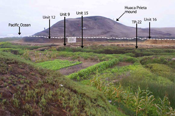 Huaca Prieta mound situated on the Sangamon Terrace: buried terrace surface with Late Pleistocene and Early Holocene cultural deposits is indicated by dotted line below the mound; arrows show location of individual units excavated from the top of the mound down through and to the buried cultural deposits in the terrace. Scale shown by humans standing on the mounds. Image credit: Tom D. Dillehay, Vanderbilt University / Science Advances, doi: 10.1126/sciadv.1602778.