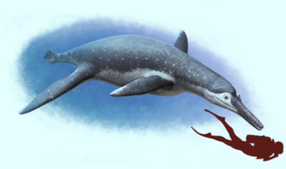 Artist’s reconstruction of Luskhan itilensis. Image credit: Andrey Atuchin.