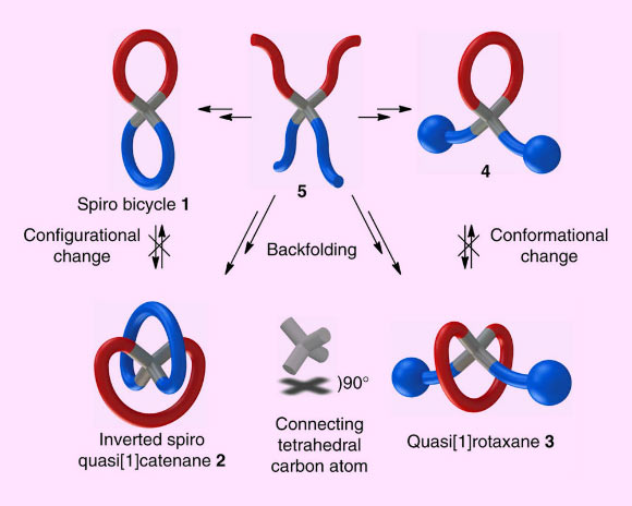 Sketches of the quasi[1]catenane and quasi[1]rotaxane geometries: these are, together with the two regular ring systems, all available from a single quaternary carbon precursor; by starting from compound (5) in which four linear-chain ring precursors are connected to the same central tetrahedral carbon atom, after closure of the perpendicularly arranged rings, two spiro geometries may be envisioned; besides the regular spiro bicycle (1), after double-backfolding ring closure, the inverted spiro configuration is obtained giving quasi[1]catenane (2); alternatively, by installation of large stoppers at the end of the two linear chain fragments, next to the regular closure to give (4), cyclization via backfolding gives access to the mechanically locked quasi[1]rotaxane (3) conformation. Image credit: Steemers et al, doi: 10.1038/ncomms15392.