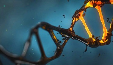 CRISPR-Cas9 gene editing can cause hundreds of unintended mutations. Image credit: Lisichik.