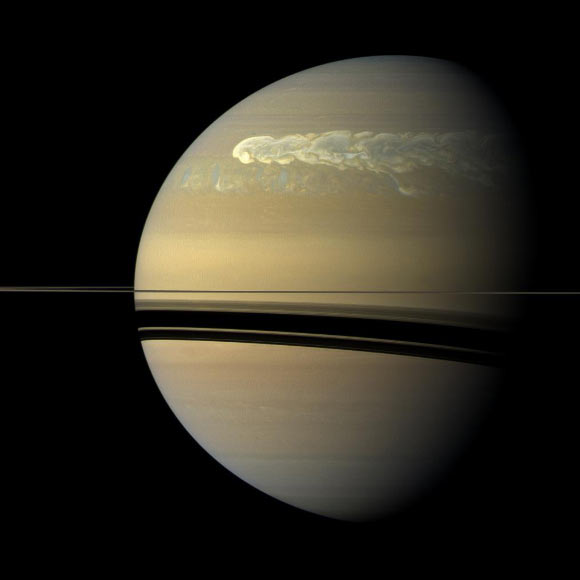 The huge storm churning through the atmosphere in Saturn’s northern hemisphere overtakes itself as it encircles the planet in this true-color view from NASA’s Cassini spacecraft. This picture, captured on Feb. 25, 2011, was taken about 12 weeks after the storm began, and the clouds by this time had formed a tail that wrapped around the planet. Some of the clouds moved south and got caught up in a current that flows to the east (to the right) relative to the storm head. This tail, which appears as slightly blue clouds south and west (left) of the storm head, can be seen encountering the storm head in this view. This storm is the largest, most intense storm observed on Saturn by NASA’s Voyager or Cassini spacecraft. It is still active today. As scientists have tracked this storm over several months, they have found it covers 500 times the area of the largest of the southern hemisphere storms observed earlier in the Cassini mission. The shadow cast by Saturn’s rings has a strong seasonal effect, and it is possible that the switch to powerful storms now being located in the northern hemisphere is related to the change of seasons after the planet’s August 2009 equinox. Image credit: NASA / JPL-Caltech / Space Science Institute.