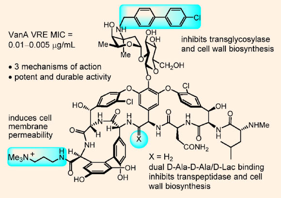 Structure of CBP C1-aminomethylene vancomycin, summary of activity, and mechanisms of action. Image credit: Okano et al, doi: 10.1073/pnas.1704125114.
