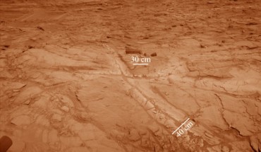 Pale zones called ‘halos’ border bedrock fractures visible in this 2015 image (colorized) from the Curiosity rover. Measurements overlaid on the image offer a sense of scale for the size of these fractures. The rover team determined that the halos are rich in silica, a clue to the duration of wet environmental conditions long ago. Image credit: NASA / JPL-Caltech.