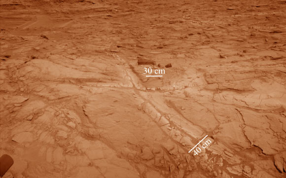 Pale zones called ‘halos’ border bedrock fractures visible in this 2015 image (colorized) from the Curiosity rover. Measurements overlaid on the image offer a sense of scale for the size of these fractures. The rover team determined that the halos are rich in silica, a clue to the duration of wet environmental conditions long ago. Image credit: NASA / JPL-Caltech.