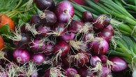 According to Murayyan et al, Ontario-grown red onions have the strongest cancer-fighting power. Image credit: Erika Wittlieb.