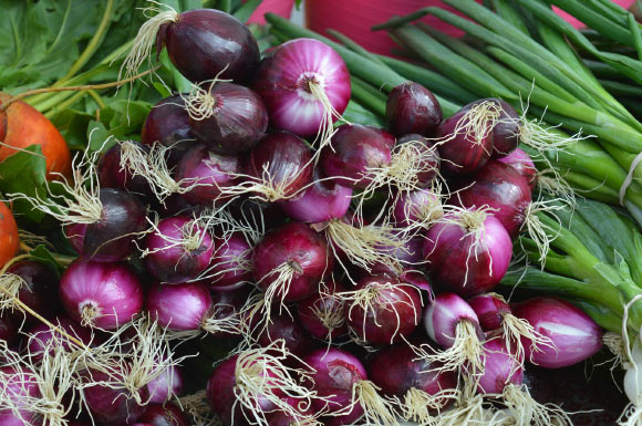 According to Murayyan et al, Ontario-grown red onions have the strongest cancer-fighting power. Image credit: Erika Wittlieb.