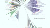 A 2016 representation of the tree of life. Image credit: Laura A. Hug et al, doi: 10.1038/nmicrobiol.2016.48.