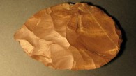 A suspected speartip made from material sourced more than 60 miles (100 km) east of Pod Hradem Cave. Image credit: Miroslav Kralik.
