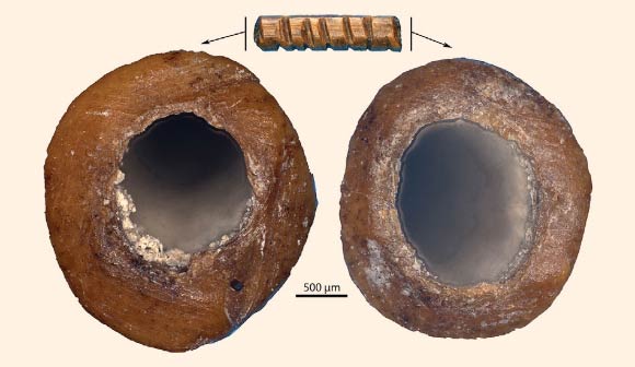 Ends of the tubular bone rod: note sawing marks (left), sawing and grinding marks (right). Image credit: Francesco d’Errico / Wright et al, 10.1017/S0003598X00050201.