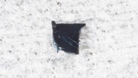 A crystal of the trilayer nickelate compound Pr4Ni3O8. Image credit: Argonne National Laboratory.