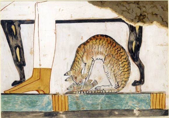 This image shows a ‘cat under the chair’ with a tabby mackerel marking, typical of Felis silvestris lybica. Anna (Nina) Macpherson Davies, copy of Wall Painting from Private Tomb 52 of Nakht, Thebes. Image credit: Ottoni et al, doi: 10.1038/s41559-017-0139.