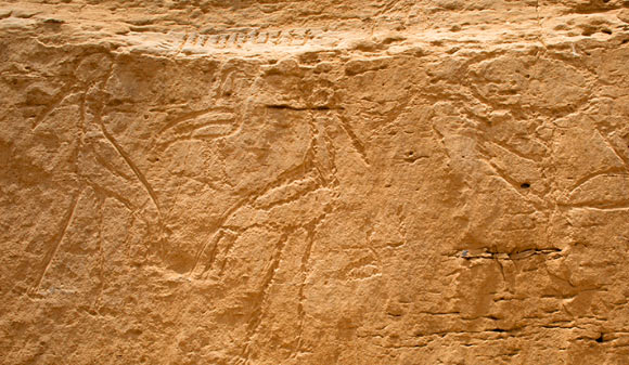 The newly discovered panel of signs features images of a bull’s head on a short pole followed by two back-to-back saddlebill storks with a bald ibis bird above and between them. This arrangement of symbols is common in later Egyptian representations of the solar cycle and with the concept of luminosity. Image credit: Yale University.
