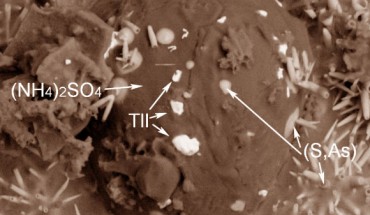 Nataliyamalikite (TlI) grains on the mineral mascagnite (NH4)2SO4. Image credit: Okrugin et al, doi: 10.2138/am-2017-6057.