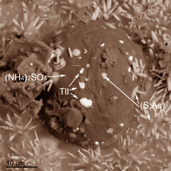 Nataliyamalikite (TlI) grains on the mineral mascagnite (NH4)2SO4. Image credit: Okrugin et al, doi: 10.2138/am-2017-6057.