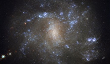 This image shows the barred spiral galaxy NGC 2500, which lies in the northern constellation of Lynx, about 32 million light-years away. Image credit: NASA / ESA / Hubble.