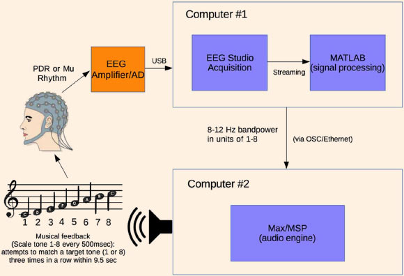 Experimental setup: electroencephalogram (EEG) signal from subject wearing electrode cap is sent from Mitsar 201 EEG amplifier to computer #1 where 8–12 Hz posterior dominant rhythm (PDR) or Mu power is converted to a value from 1 to 8; this value from 1 to 8 is sent via OSC to computer #2 where it is converted to a musical piano tone in the key of C (seven tones of C major scale and octave, from C4 to C5); subjects generating tones attempt to match them with a presented target tone. Image credit: Deuel et al, doi: 10.3389/fnhum.2017.00213.