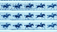 DNA is emerging as an excellent medium for storing data. Image credit: Shipman et al, doi: 10.1038/nature23017.