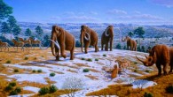 Gaudry et al demonstrate that members of various lineages (for example, cetaceans, horses, woolly mammoths, Steller’s sea cows) evolved extreme cold hardiness in the absence of UCP1-mediated thermogenesis. Image credit: Mauricio Anton.