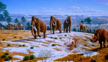 Gaudry et al demonstrate that members of various lineages (for example, cetaceans, horses, woolly mammoths, Steller’s sea cows) evolved extreme cold hardiness in the absence of UCP1-mediated thermogenesis. Image credit: Mauricio Anton.