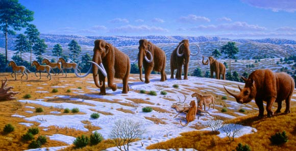 Gaudry et al demonstrate that members of various lineages (for example, cetaceans, horses, woolly mammoths, Steller’s sea cows) evolved extreme cold hardiness in the absence of UCP1-mediated thermogenesis. Image credit: Mauricio Anton.