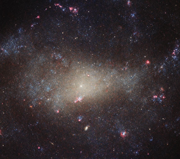 This image, taken with the Wide Field Camera 3 on board the NASA/ESA Hubble Space Telescope, shows the barred spiral galaxy NGC 4242. Image credit: NASA / ESA / Hubble.