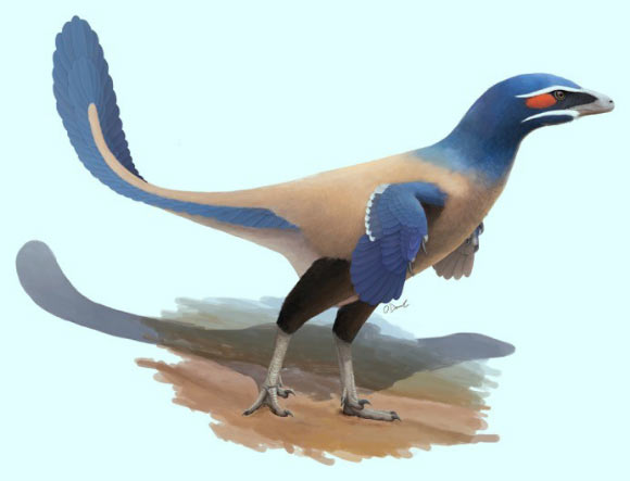 Albertavenator curriei. Image credit: Oliver Demuth.