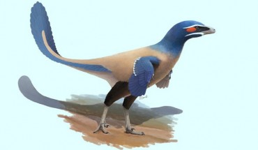 Albertavenator curriei. Image credit: Oliver Demuth.