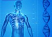 According to Professor Graur, the functional fraction within the human genome cannot exceed 25%, and is probably considerably lower.