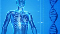 According to Professor Graur, the functional fraction within the human genome cannot exceed 25%, and is probably considerably lower.