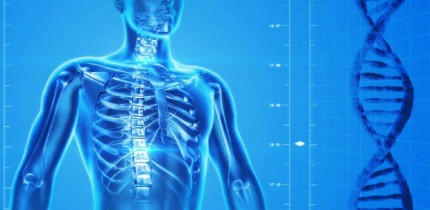 According to Professor Graur, the functional fraction within the human genome cannot exceed 25%, and is probably considerably lower.