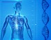 According to Professor Graur, the functional fraction within the human genome cannot exceed 25%, and is probably considerably lower.