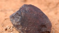 This image shows Watson 021, a single H7 ordinary chondrite, weighing 135 g. The sample has a large crack, lined with alteration minerals, that runs down its middle and only one third of its fusion crust remains intact. This meteorite shows near complete oxidation of its reduced metal and sulfide phases making this a W4 chondrite. Watson 021 is extensively shocked, exhibiting globular silicate metal emulsions and shock veins that crosscut the sample. Tait et al found that microbial communities in samples of Nullarbor Plain soil are more diverse than those in Watson 021 and other meteorites, which are highly uniform in their species evenness and species richness. Image credit: Tait et al, doi: 10.3389/fmicb.2017.01227.