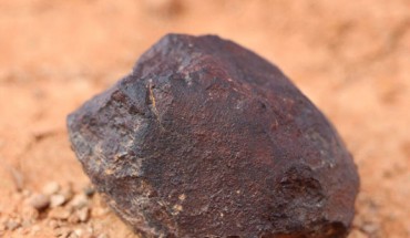 This image shows Watson 021, a single H7 ordinary chondrite, weighing 135 g. The sample has a large crack, lined with alteration minerals, that runs down its middle and only one third of its fusion crust remains intact. This meteorite shows near complete oxidation of its reduced metal and sulfide phases making this a W4 chondrite. Watson 021 is extensively shocked, exhibiting globular silicate metal emulsions and shock veins that crosscut the sample. Tait et al found that microbial communities in samples of Nullarbor Plain soil are more diverse than those in Watson 021 and other meteorites, which are highly uniform in their species evenness and species richness. Image credit: Tait et al, doi: 10.3389/fmicb.2017.01227.