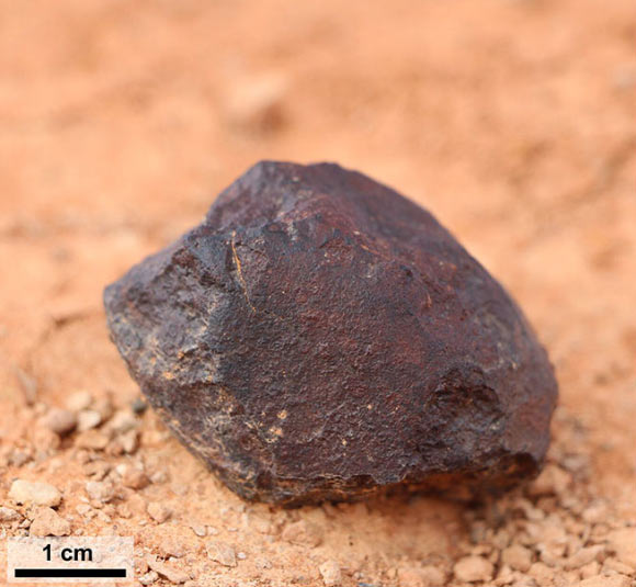 This image shows Watson 021, a single H7 ordinary chondrite, weighing 135 g. The sample has a large crack, lined with alteration minerals, that runs down its middle and only one third of its fusion crust remains intact. This meteorite shows near complete oxidation of its reduced metal and sulfide phases making this a W4 chondrite. Watson 021 is extensively shocked, exhibiting globular silicate metal emulsions and shock veins that crosscut the sample. Tait et al found that microbial communities in samples of Nullarbor Plain soil are more diverse than those in Watson 021 and other meteorites, which are highly uniform in their species evenness and species richness. Image credit: Tait et al, doi: 10.3389/fmicb.2017.01227.