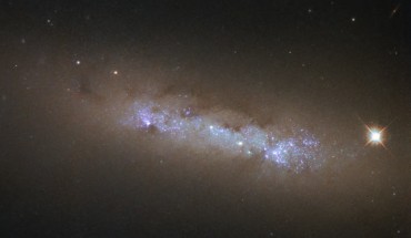 This image, taken with the Wide Field Camera 3 on board Hubble, shows the small irregular/spiral galaxy NGC 4248. Image credit: NASA / ESA / Hubble.