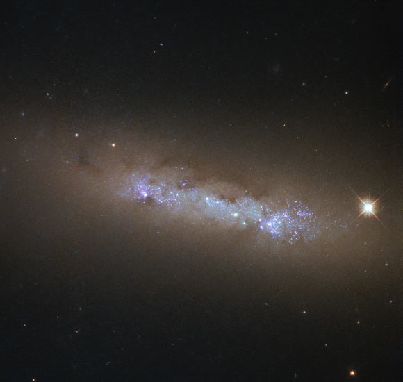 This image, taken with the Wide Field Camera 3 on board Hubble, shows the small irregular/spiral galaxy NGC 4248. Image credit: NASA / ESA / Hubble.