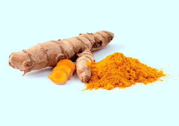 Curcumin is a major constituent of turmeric (Curcuma longa), the main spice in the Indian dish curry. Image credit: Simon A. Eugster / CC BY-SA 3.0.