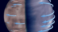 The atmospheric superrotation at the upper clouds of Venus. While the superrotation is present in both day and night sides of Venus, it seems more uniform in the day (AKATSUKI-UVI image, right), while in the night this seems to become more irregular and unpredictable (composite of Venus Express/VIRTIS images, left). Image credit: JAXA / ESA / J. Peralta, JAXA / R. Hueso, UPV/EHU.