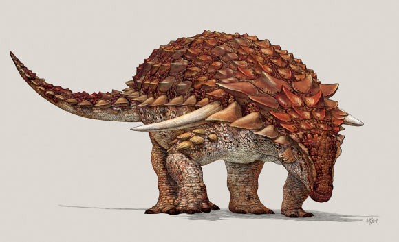 A reconstruction of Borealopelta markmitchelli. Image credit: Royal Tyrrell Museum.
