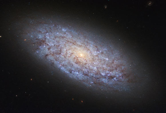 This image from Hubble’s WFC3 is likely the best of the dwarf galaxy NGC 5949. Image credit: NASA / ESA / Hubble.
