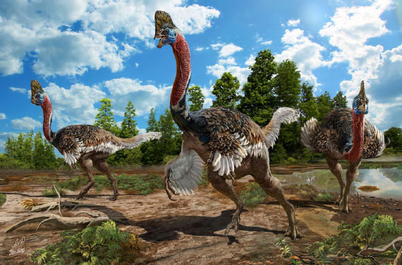 The living scene of Corythoraptor jacobsi. Image credit: Zhao Chuang.
